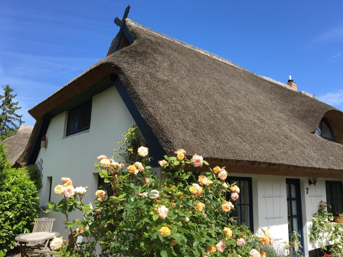 Landhaus Darss Вик Экстерьер фото