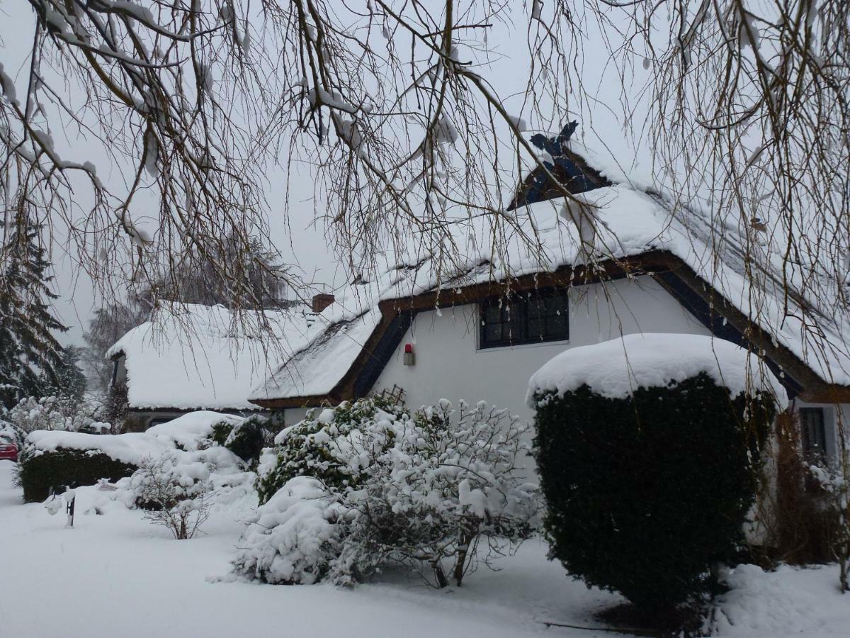 Landhaus Darss Вик Экстерьер фото